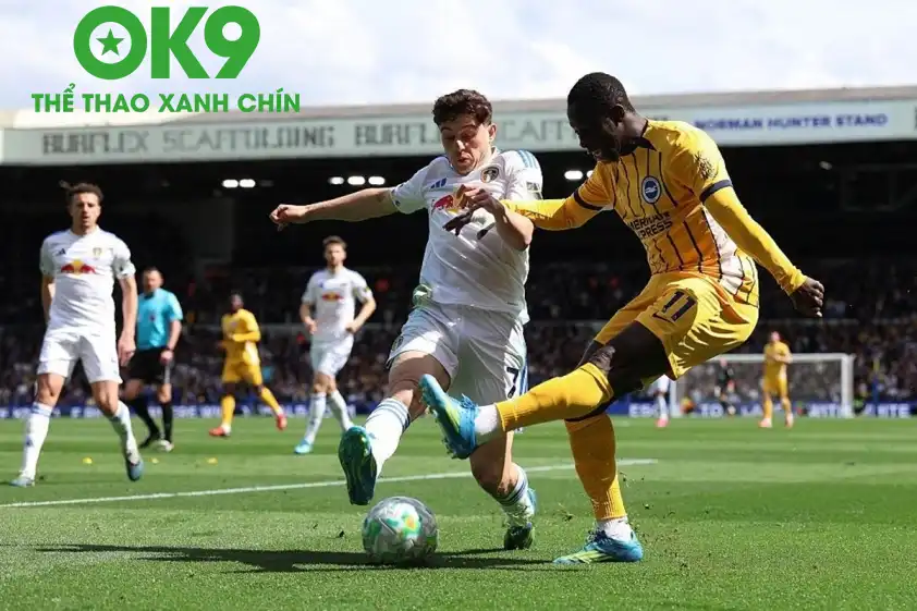 Brighton quyết tìm lại niềm vui khi tiếp đón Leeds. (Ảnh: Internet) Brighton quyết tìm lại niềm vui khi tiếp đón Leeds. (Ảnh: Internet)